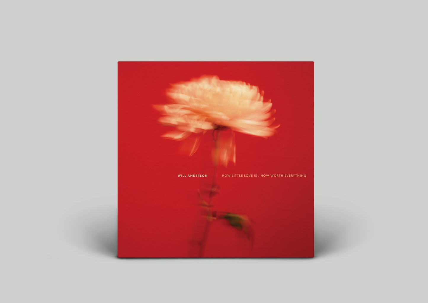 How Little Love Is / How Worth Everything - Signed Limited Edition Vinyl