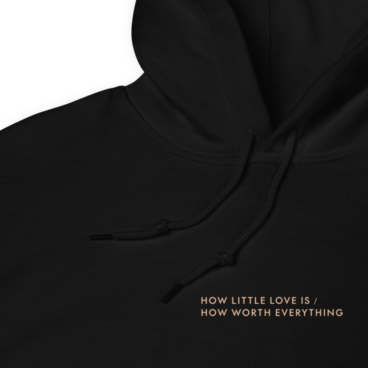 HLLI/HWE Hoodie
